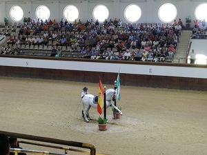 1D Jerez, paardenstoeterij, show _0741