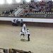 1D Jerez, paardenstoeterij, show _3358