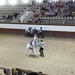1D Jerez, paardenstoeterij, show _3359