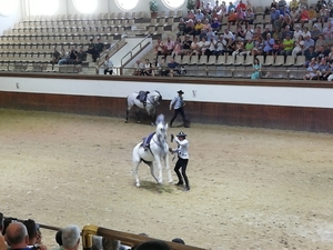 1D Jerez, paardenstoeterij, show _3359
