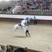 1D Jerez, paardenstoeterij, show _3401