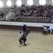 1D Jerez, paardenstoeterij, show _3550