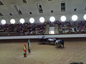 1D Jerez, paardenstoeterij, show _4742