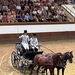 1D Jerez, paardenstoeterij, show _64900_n