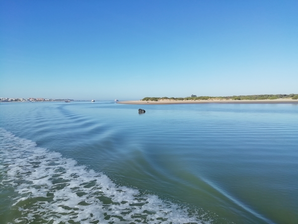 3 Donana natuurpark   _1539