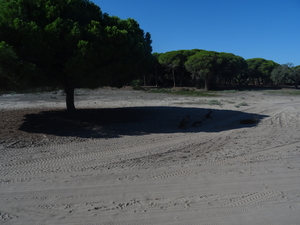 3 Donana natuurpark   _DSC00138