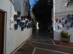 5 Marbella  _DSC00279