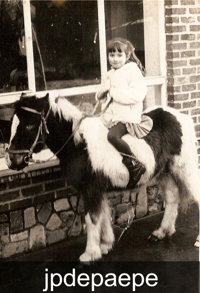 KS fotograaf met paard