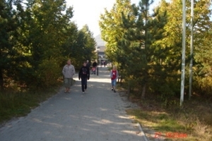 DSC00981