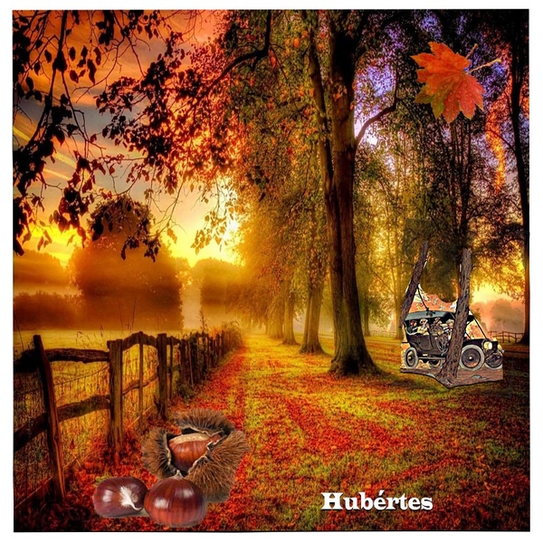 hubertes