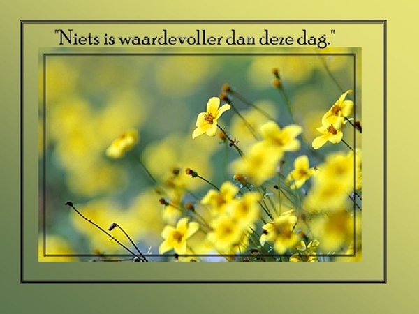 Niets+is+waardevoller+dan+deze+dag