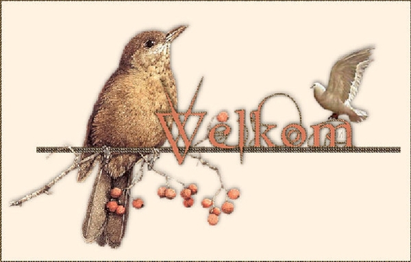 Welkom