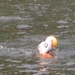 DSCN0896