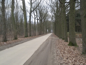 meerhout-drevenpad (10)