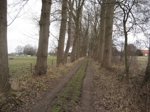 meerhout-drevenpad (3)