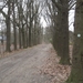 meerhout-drevenpad (7)