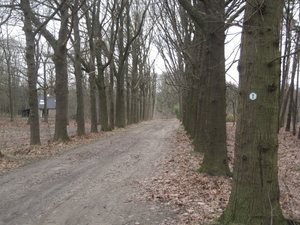 meerhout-drevenpad (7)