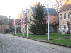 Diest (16)