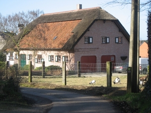 Herselt 06-03-2011 (23)