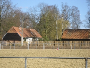 Herselt 06-03-2011 (8)