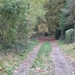 wandeling mol 1 (7) (Small)