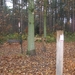 wandeling westerlo 1 (8)