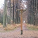 wandeling westerlo 1 (10) - DE STER