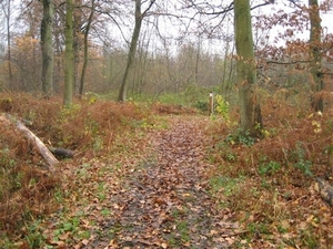 wandeling westerlo 1 (15)