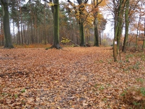 wandeling westerlo 1 (16)