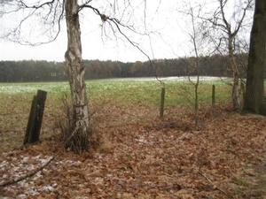 gerhagen 1 (5) (Small)