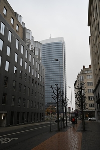 DSC_2721