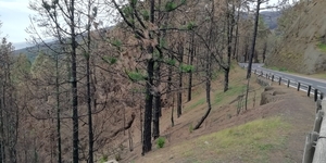 1A El Teide _104703
