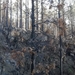 1A El Teide _145121