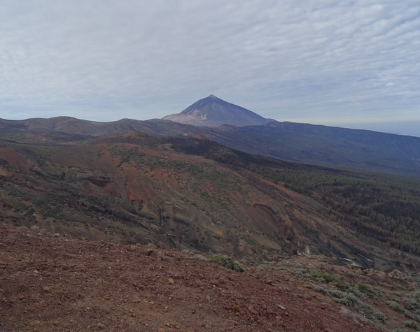 1A El Teide _DSC00004