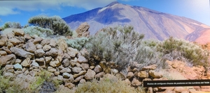 1A El Teide _DSC00010