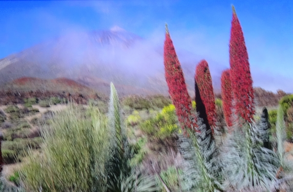 1A El Teide _DSC00022