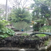 2 Gran Canaria Arucas, botanische tuin