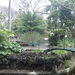 2 Gran Canaria Arucas, botanische tuin