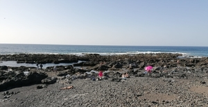 4 Punta del Hidalgo -WA0027