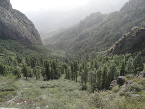 5 La Gomera Lavarotsen _DSC00182