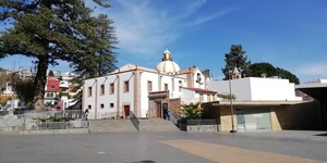 6 Puerto de La Cruz _114301