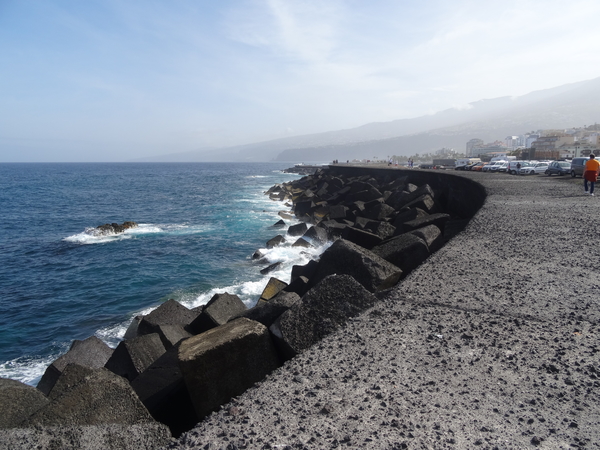 6 Puerto de La Cruz _DSC00203