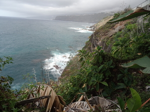 6 Puerto de La Cruz _DSC00224