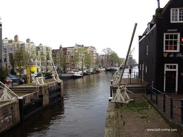 Amsterdam 36 (Small) (Small)