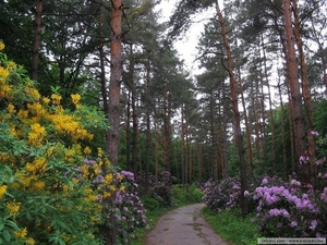 Arboretum 31 (Small)