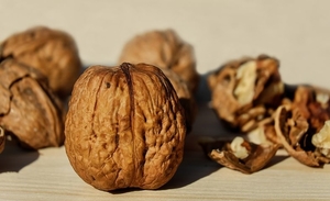 walnut-1739021__480