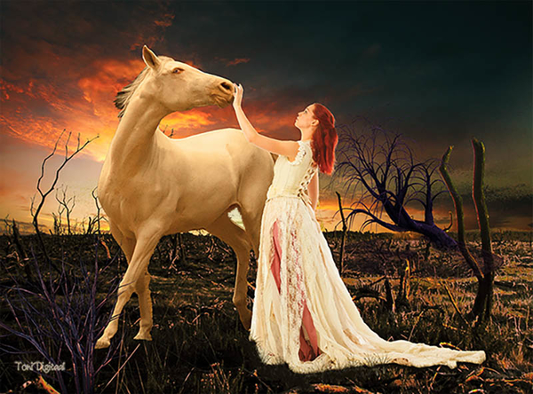 PAARD