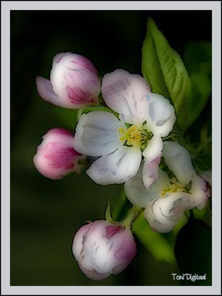 Porseleine lente groet