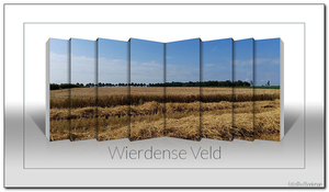 Wierdensveld