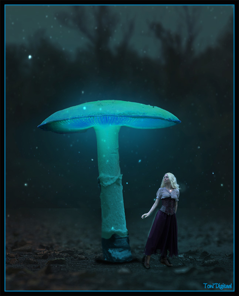 fantasy mushroom kopie